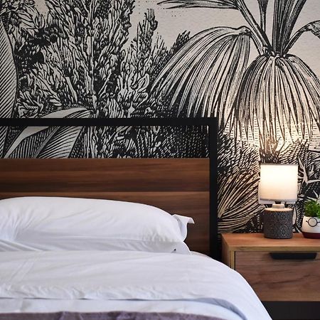 Vibrant Apartment تيرانا المظهر الخارجي الصورة